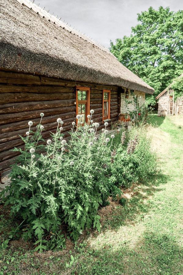 Matsi Cottage Igaküla Kültér fotó